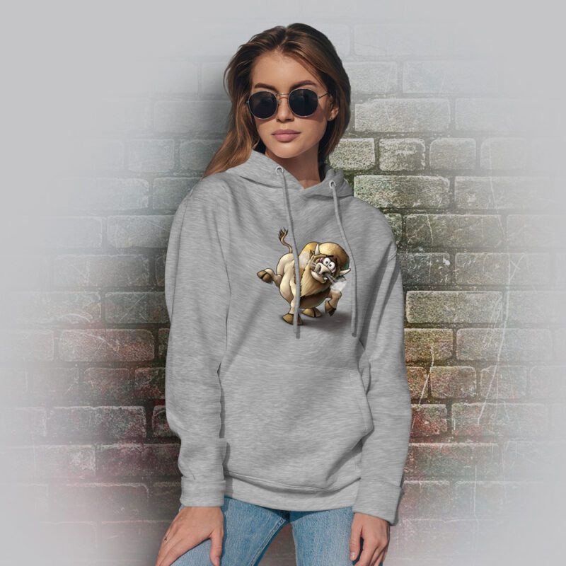 Funnyfriend Hoodie Bulle grey melange